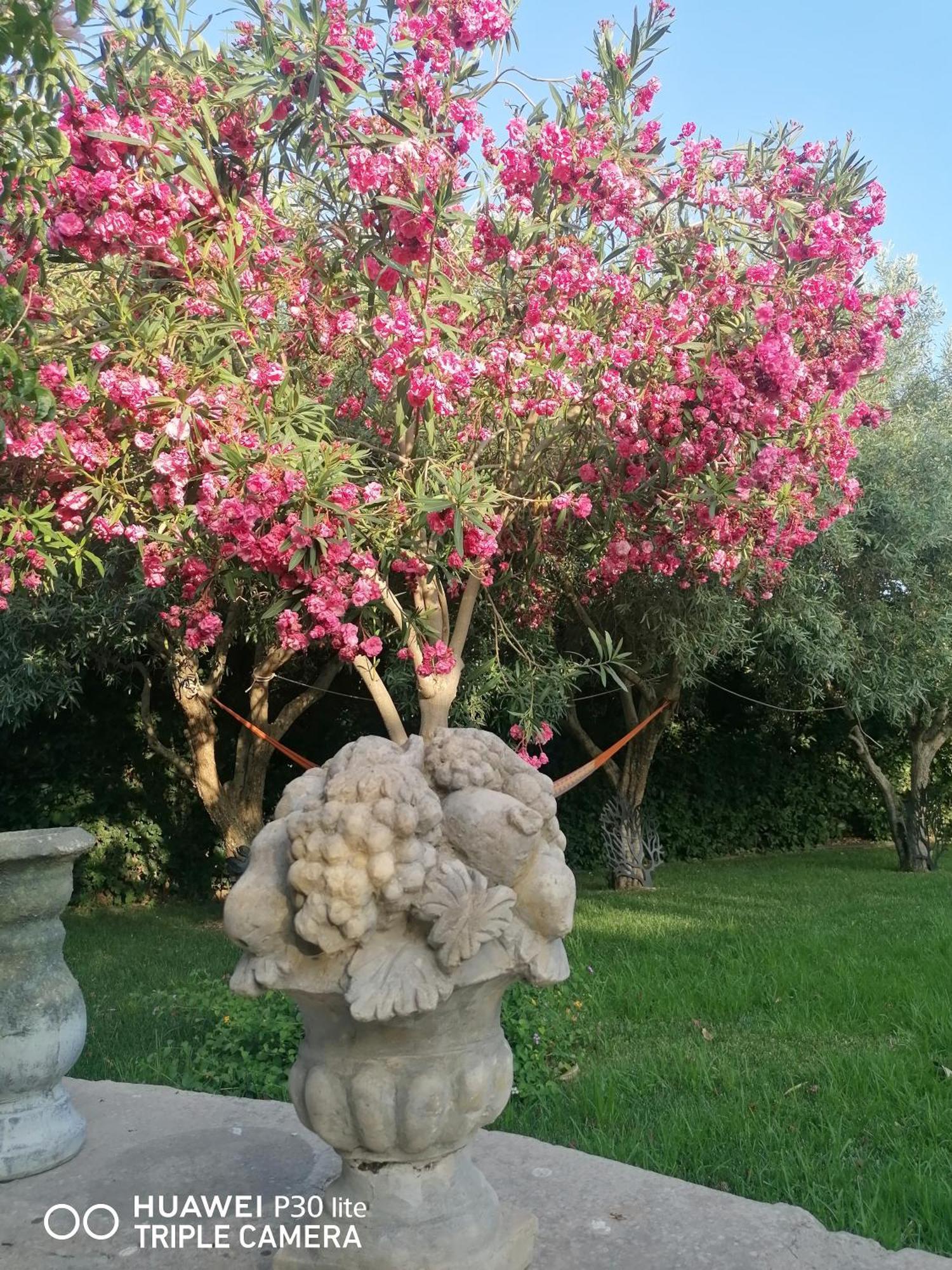 מלון מודיקה Oasi Di Campagna מראה חיצוני תמונה