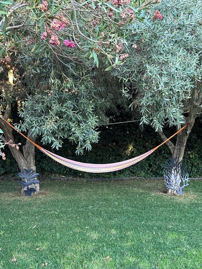 מלון מודיקה Oasi Di Campagna מראה חיצוני תמונה